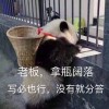 單機